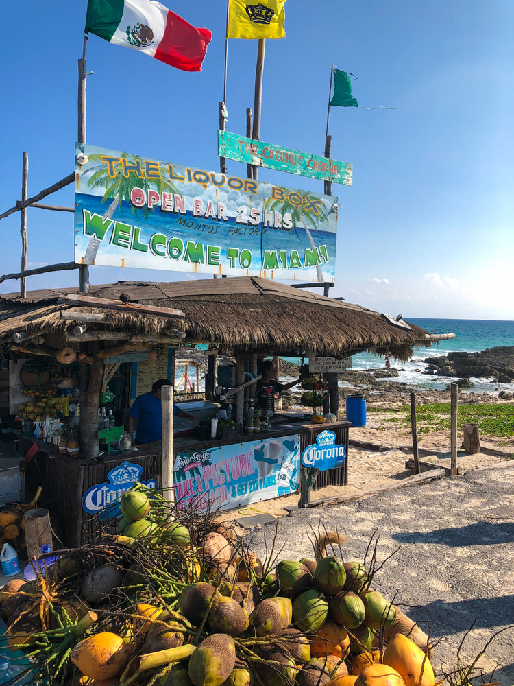 Image result for bar miami cozumel